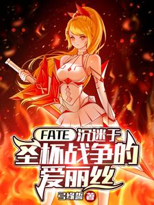 FATE������ʥ��ս���İ���˿